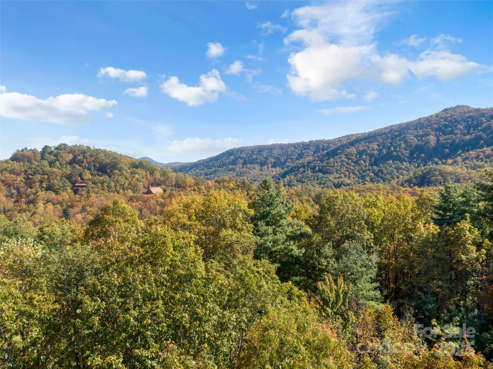 38 Attica Falls Trail - Photo 14