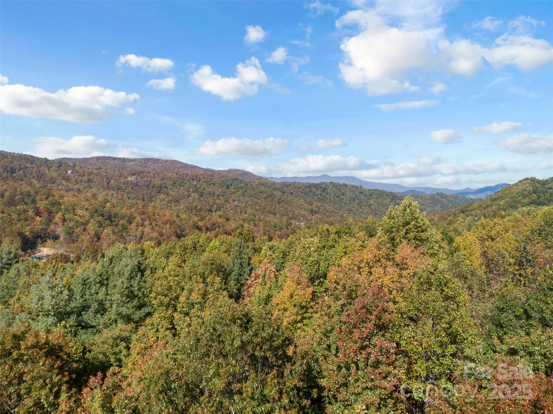 38 Attica Falls Trail - Photo 15