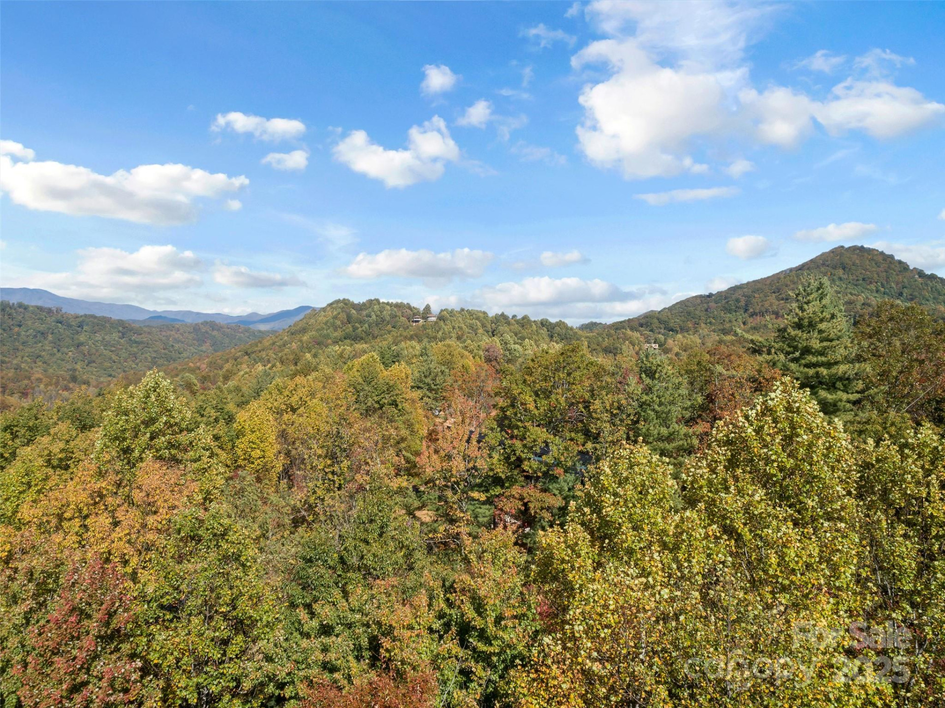 38 Attica Falls Trail - Photo 17