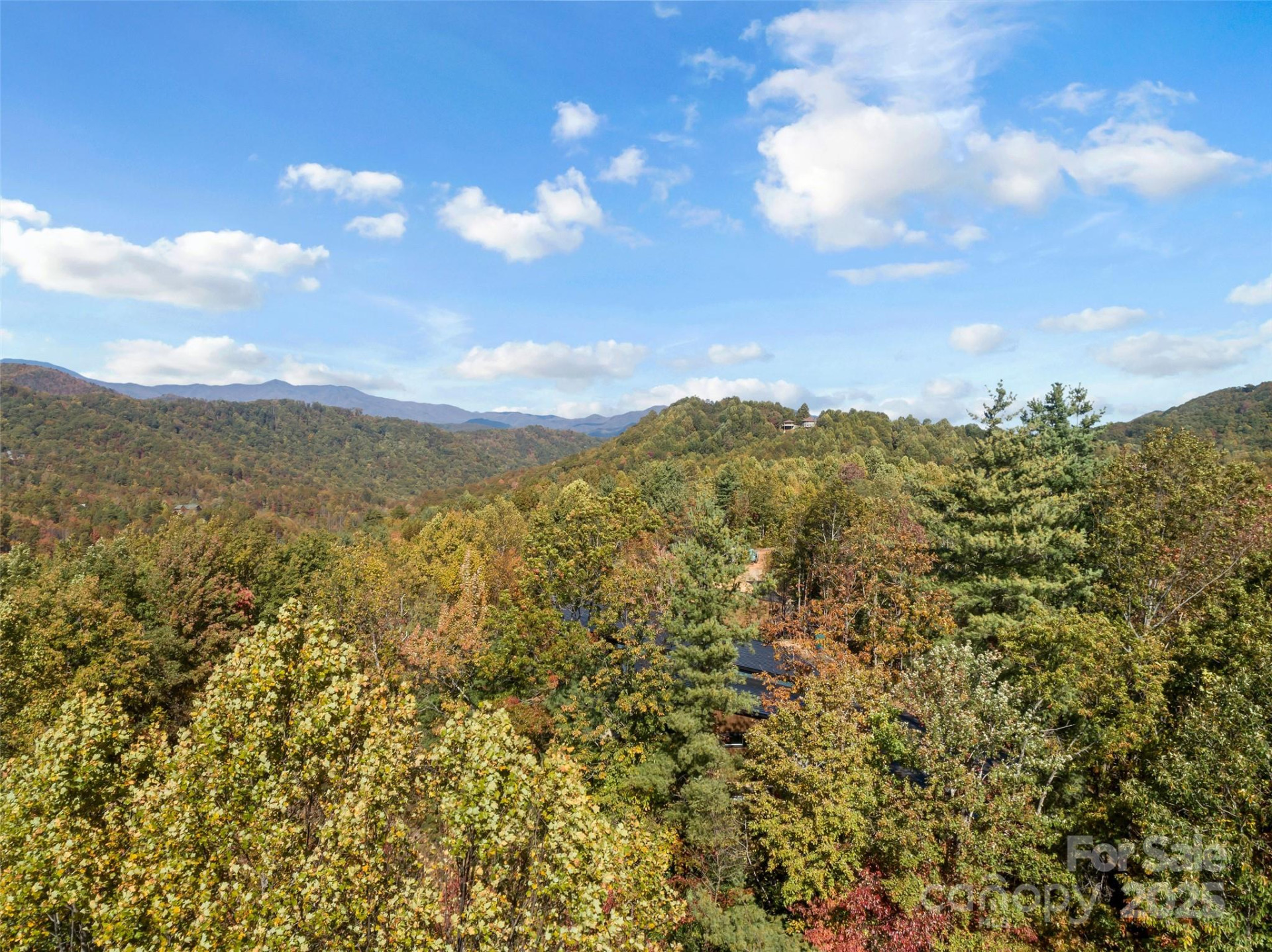 38 Attica Falls Trail - Photo 18