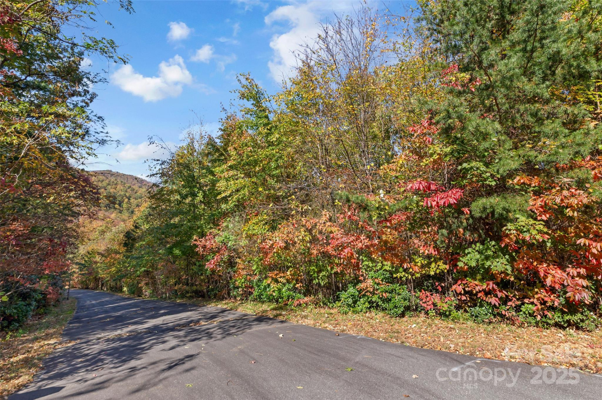 38 Attica Falls Trail - Photo 9