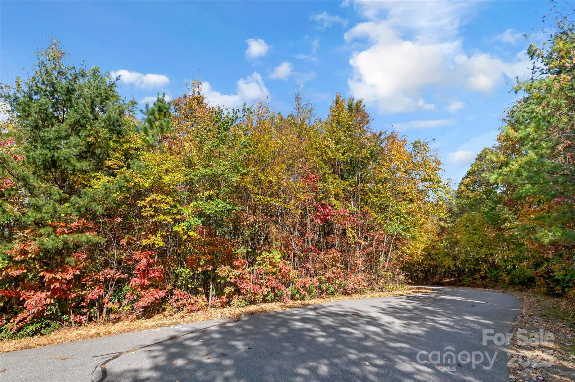 38 Attica Falls Trail - Photo 10