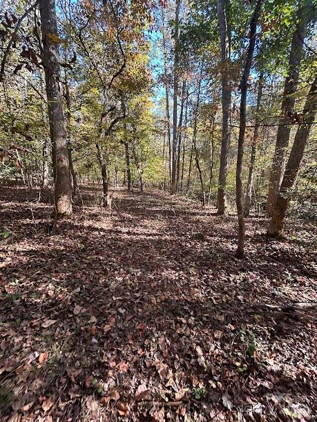 TBD Cross Creek Drive #140 - Photo 3