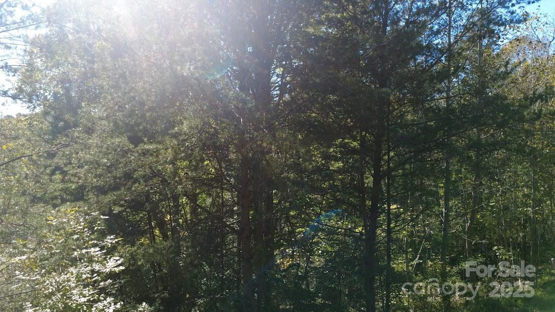 TBD Cross Creek Drive #140 - Photo 5