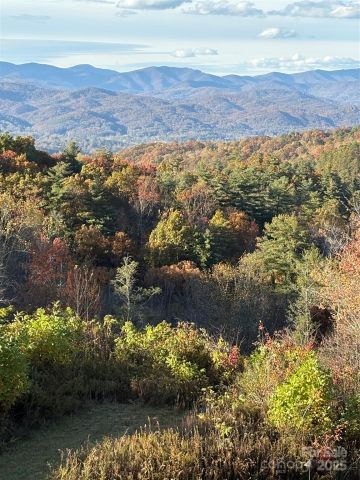 999 Old Spring Road, Brevard, NC, 28712