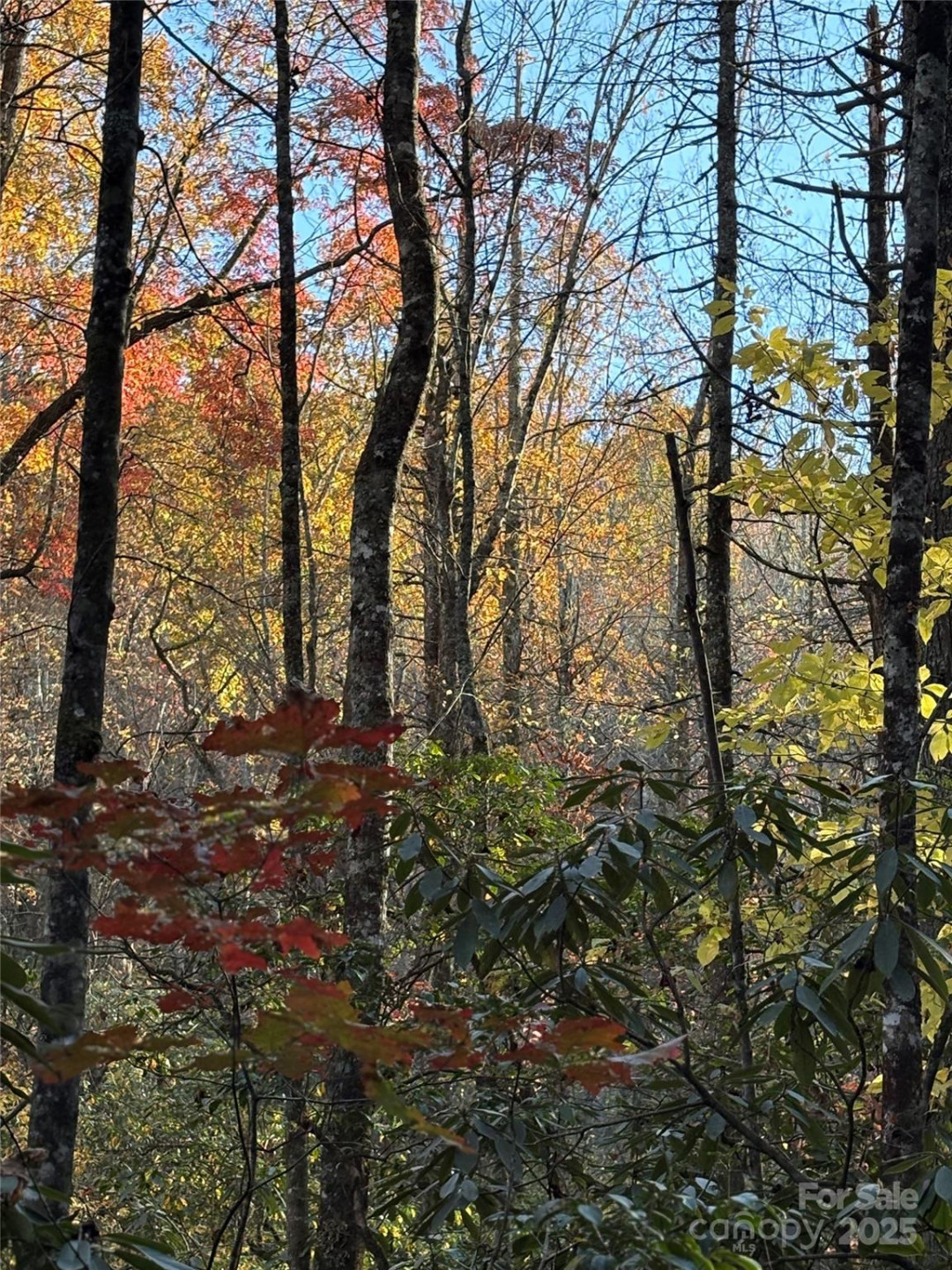 999 Old Spring Road - Photo 13