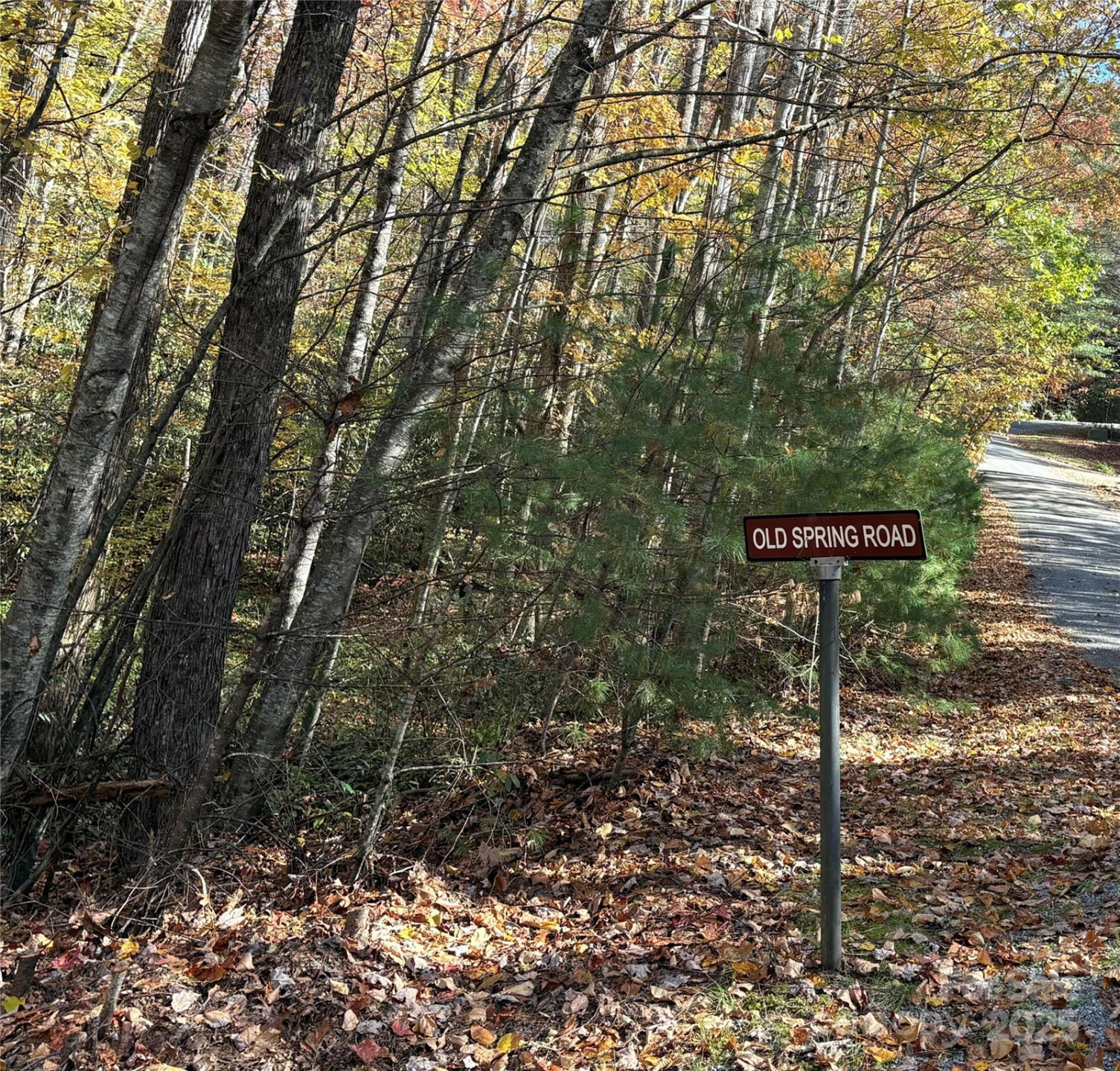 999 Old Spring Road - Photo 3