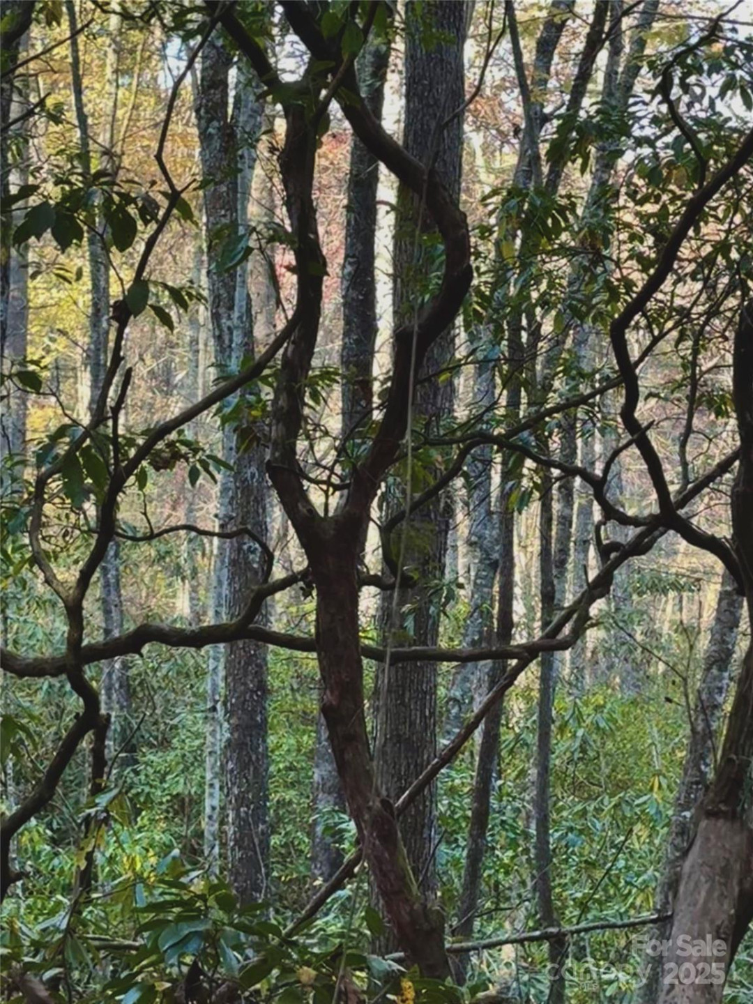 999 Old Spring Road - Photo 7