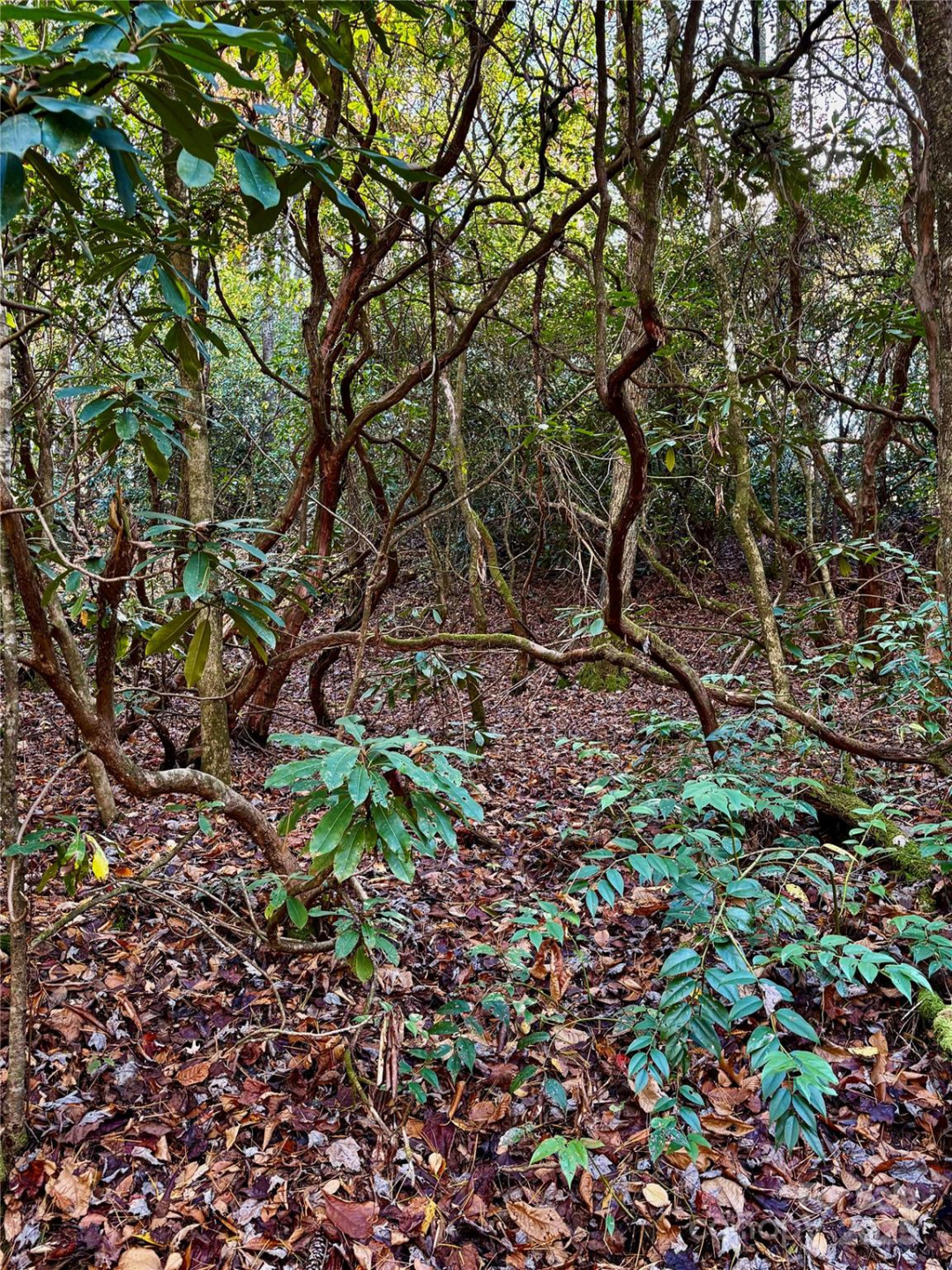 999 Old Spring Road - Photo 10