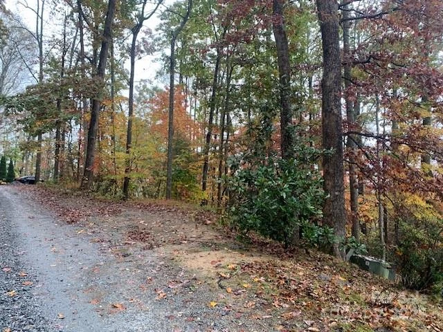 LOT 149 WILLOW Bend #149