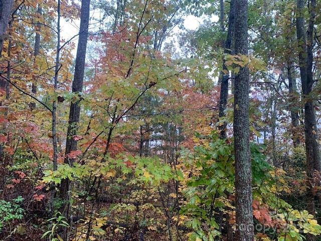 LOT 149 WILLOW Bend #149 - Photo 12
