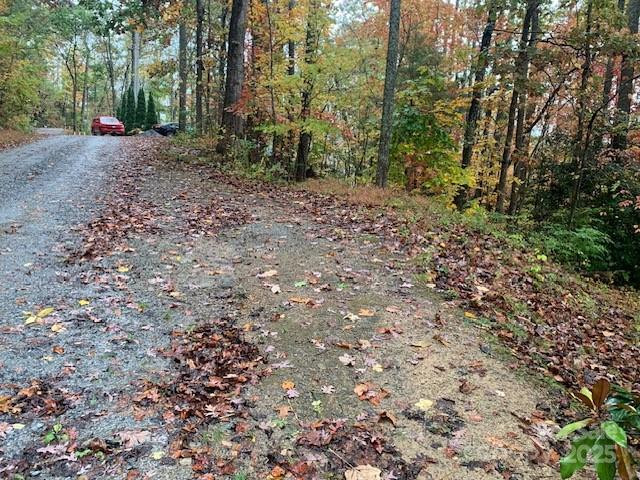 LOT 149 WILLOW Bend #149 - Photo 6