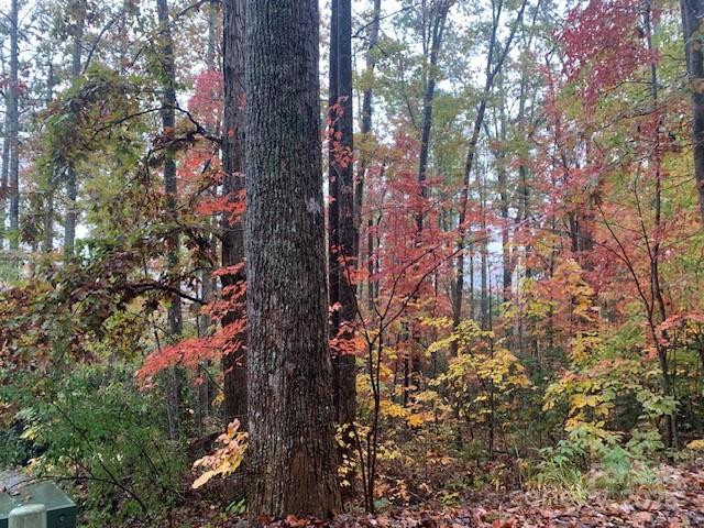 LOT 149 WILLOW Bend #149 - Photo 7