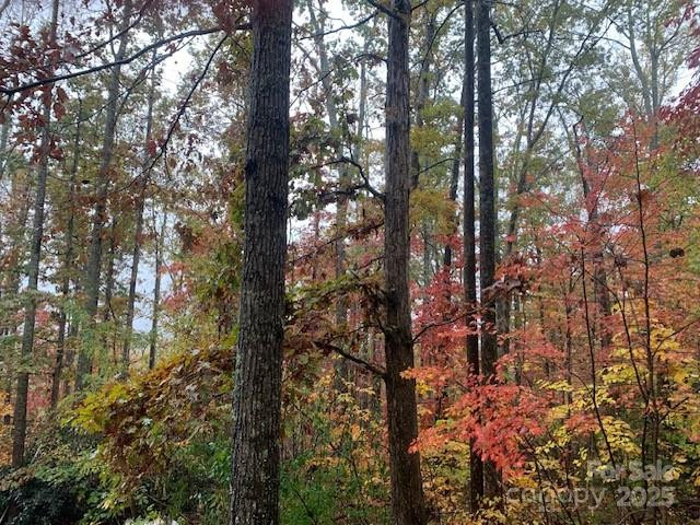 LOT 149 WILLOW Bend #149 - Photo 8