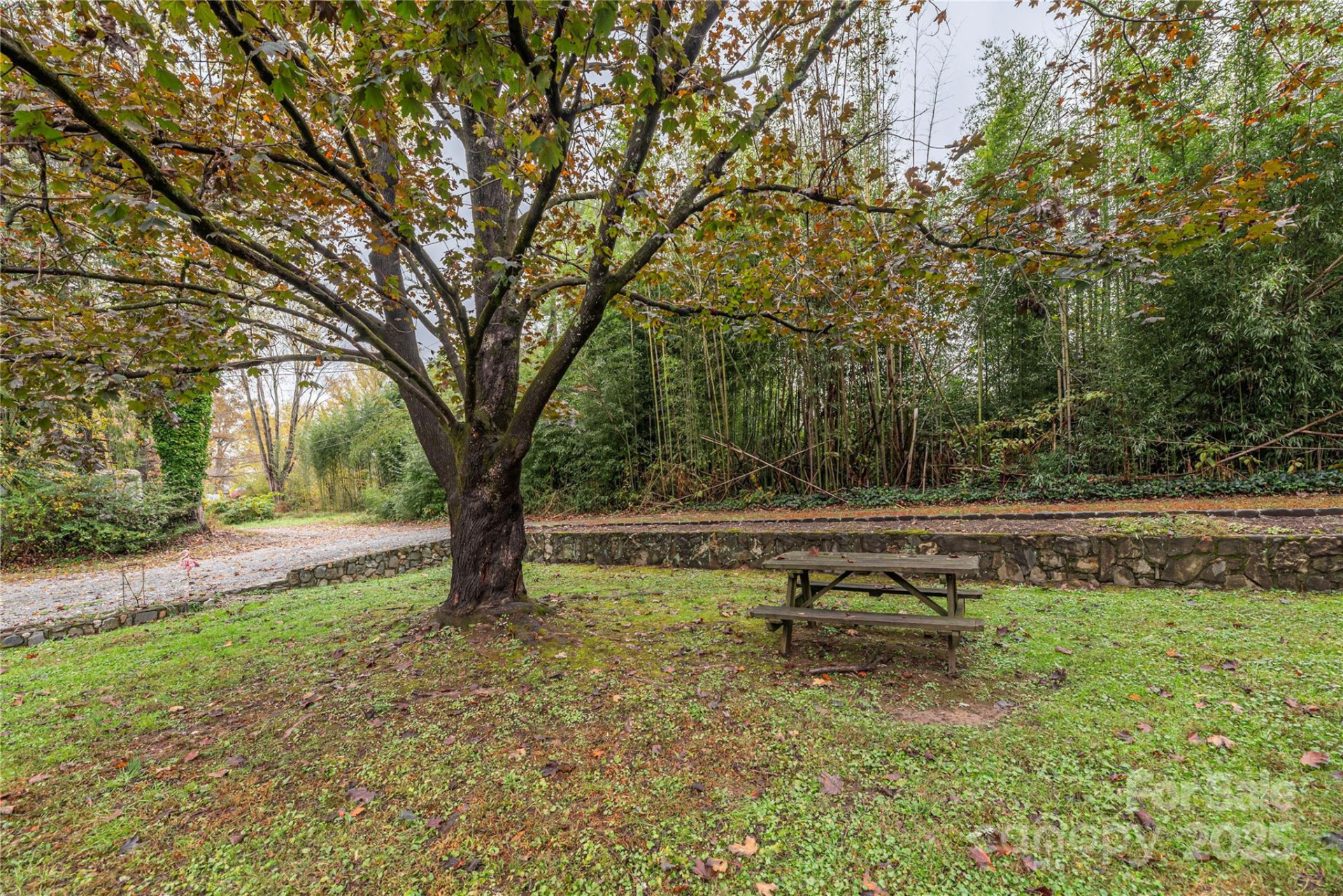 331 Sweetpea Lane - Photo 22