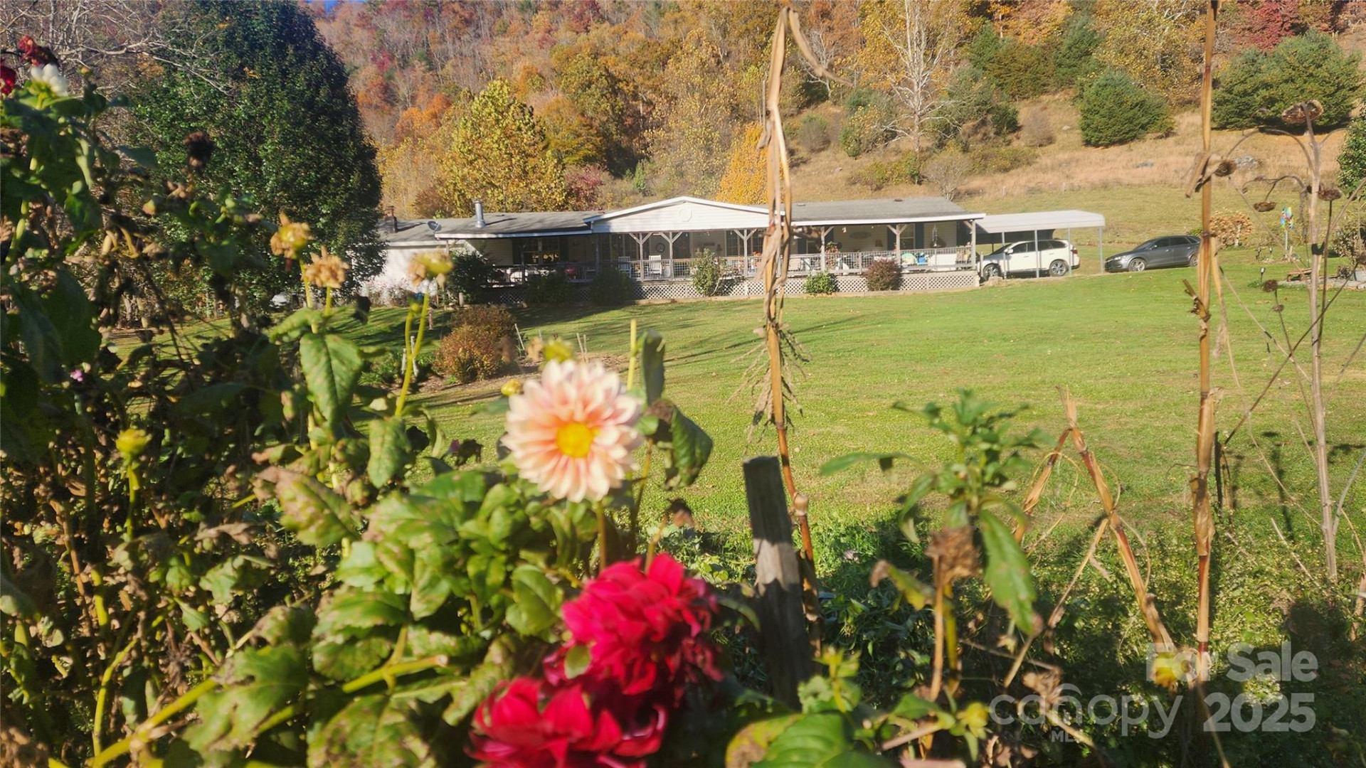 141 Hungry Creek Road - Photo 3