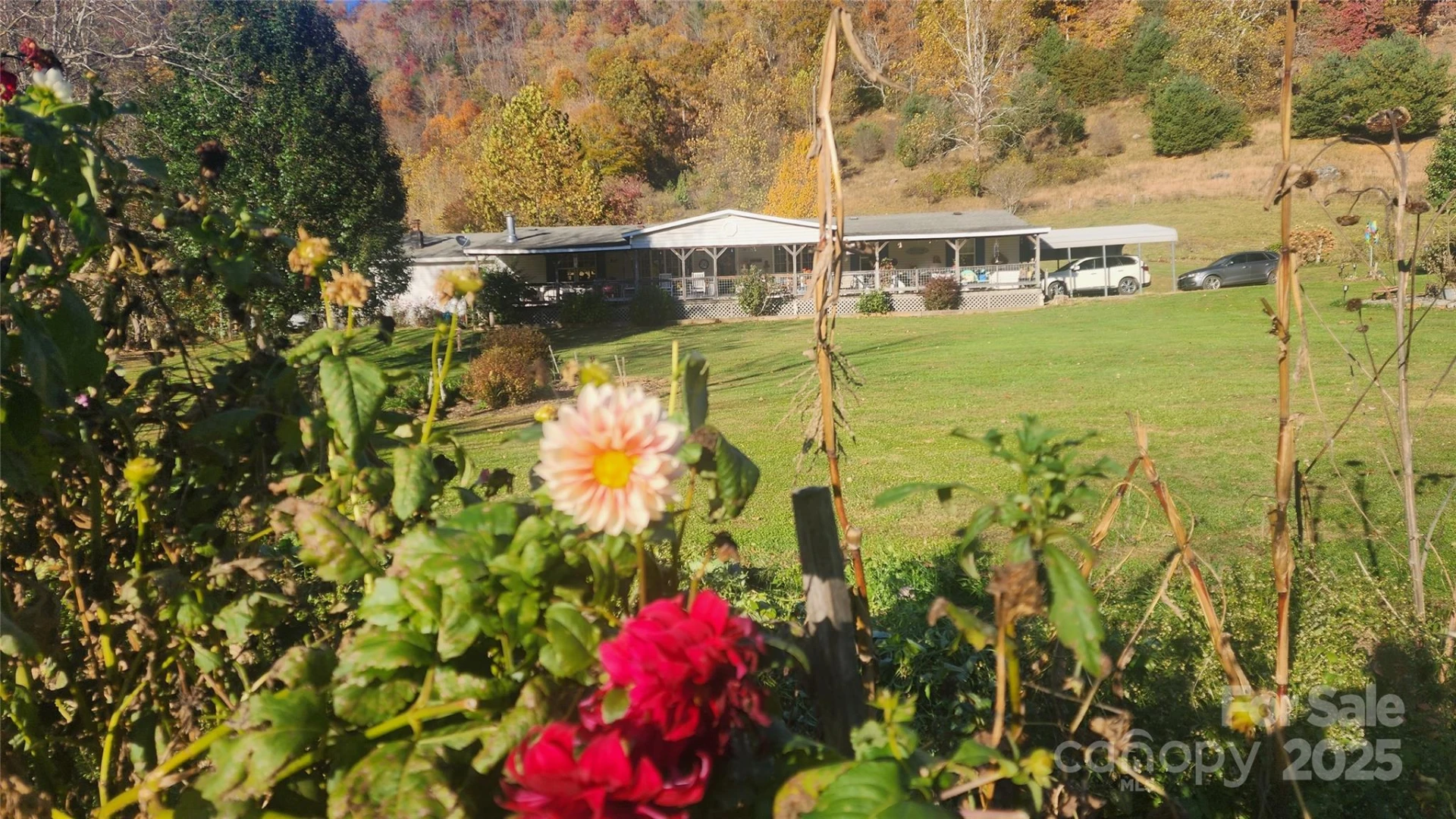 141 Hungry Creek Road - Photo 3