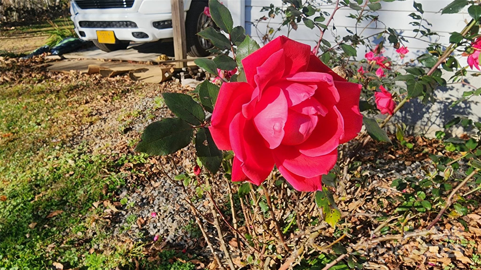 141 Hungry Creek Road - Photo 6