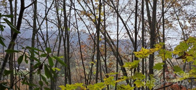 62 Turkey Hollow Court, Waynesville, NC, 28785