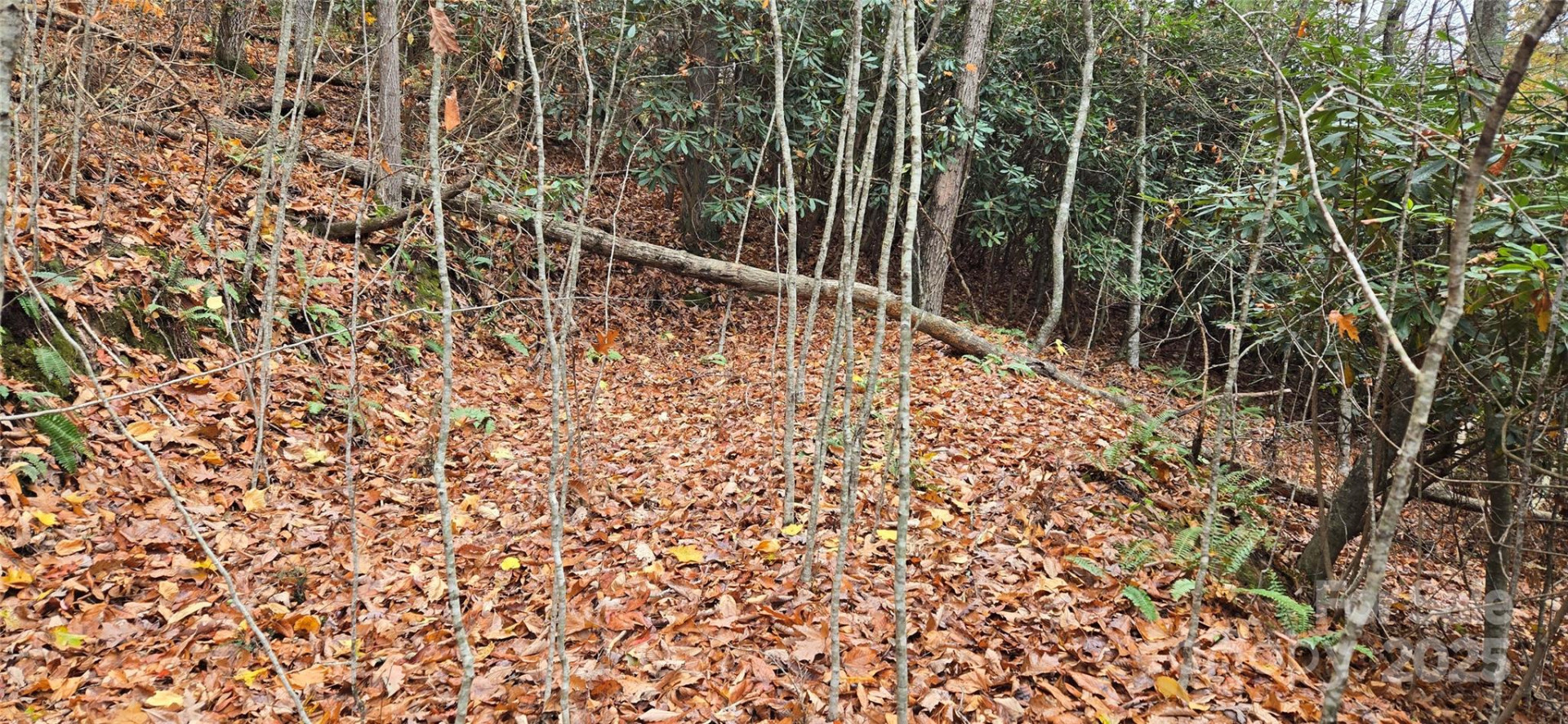 62 Turkey Hollow Court - Photo 2