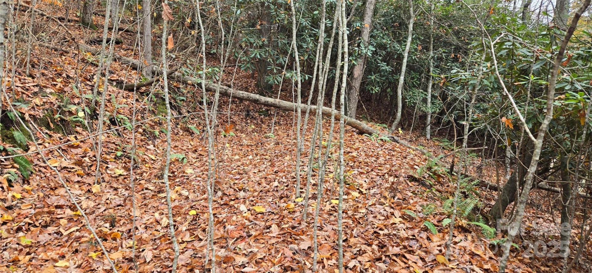 62 Turkey Hollow Court - Photo 2