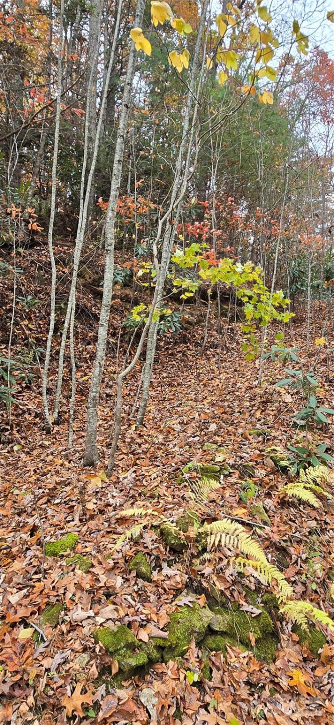 62 Turkey Hollow Court - Photo 11