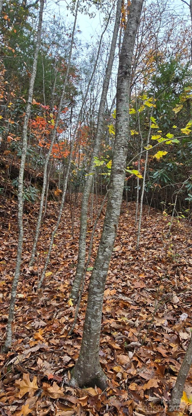 62 Turkey Hollow Court - Photo 12