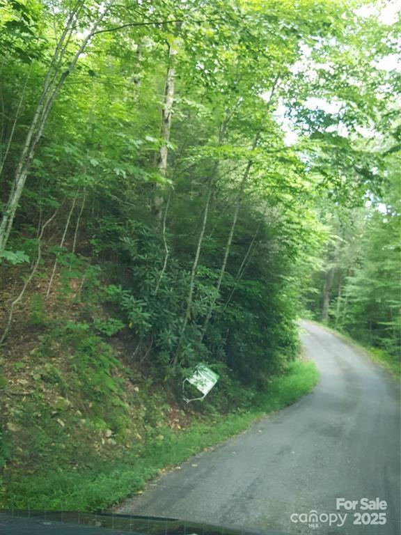 62 Turkey Hollow Court - Photo 13