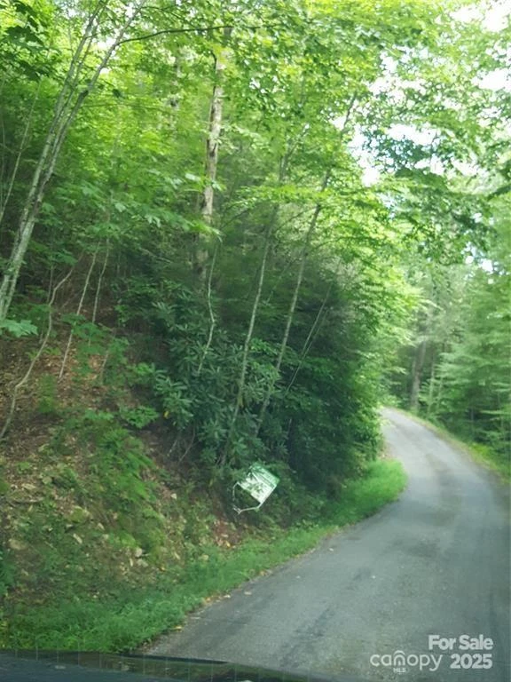 62 Turkey Hollow Court - Photo 13