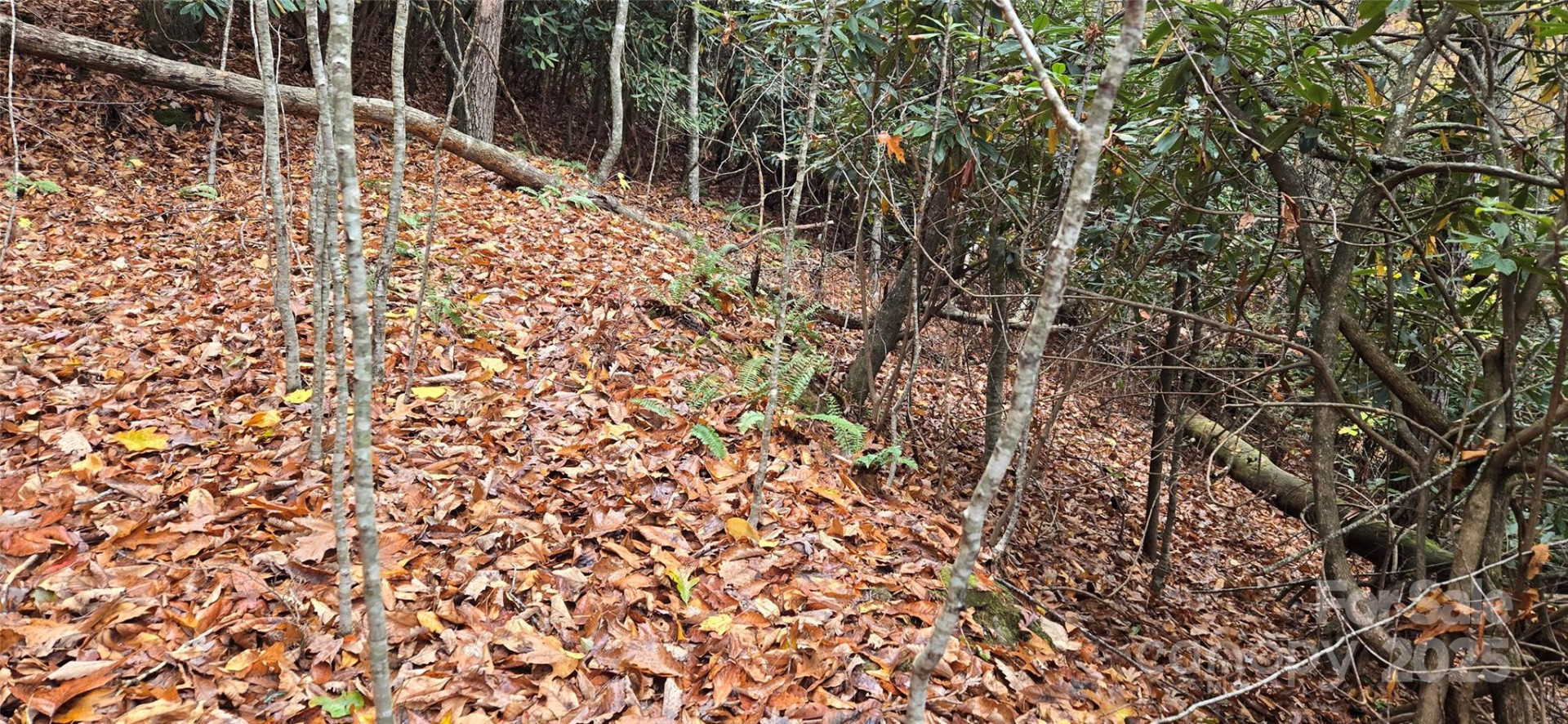 62 Turkey Hollow Court - Photo 14