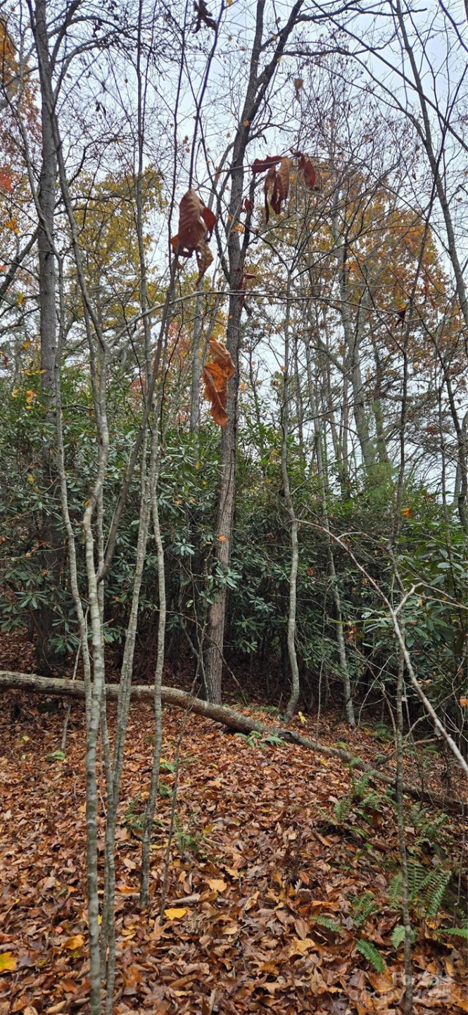 62 Turkey Hollow Court - Photo 15