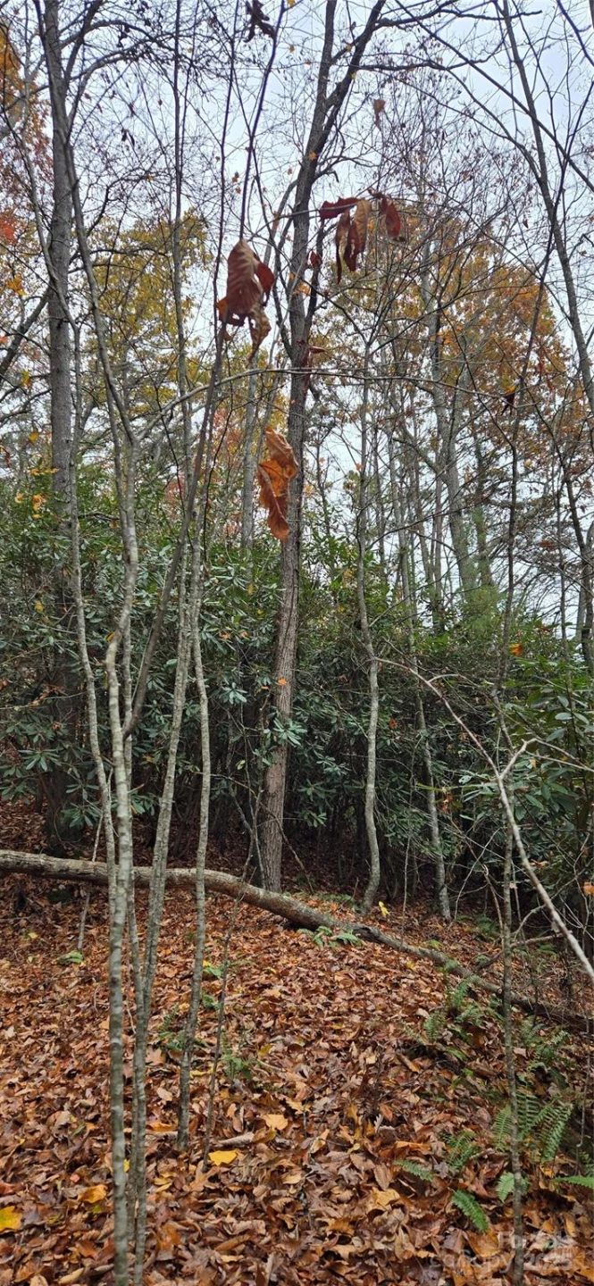 62 Turkey Hollow Court - Photo 15