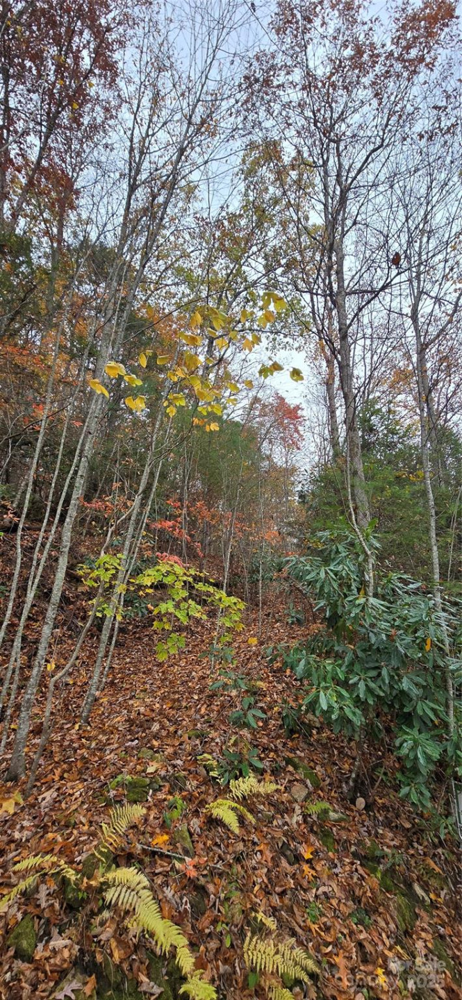 62 Turkey Hollow Court - Photo 16