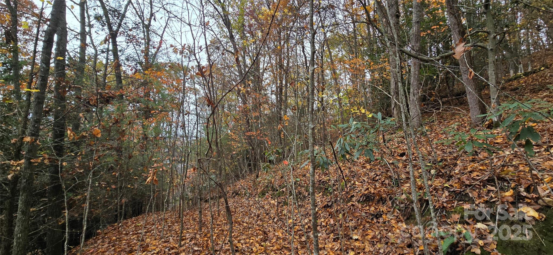 62 Turkey Hollow Court - Photo 17