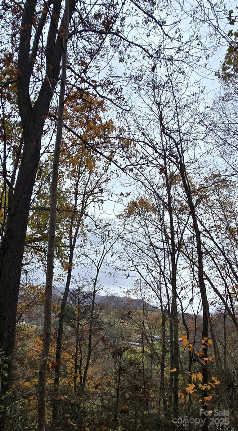 62 Turkey Hollow Court - Photo 18