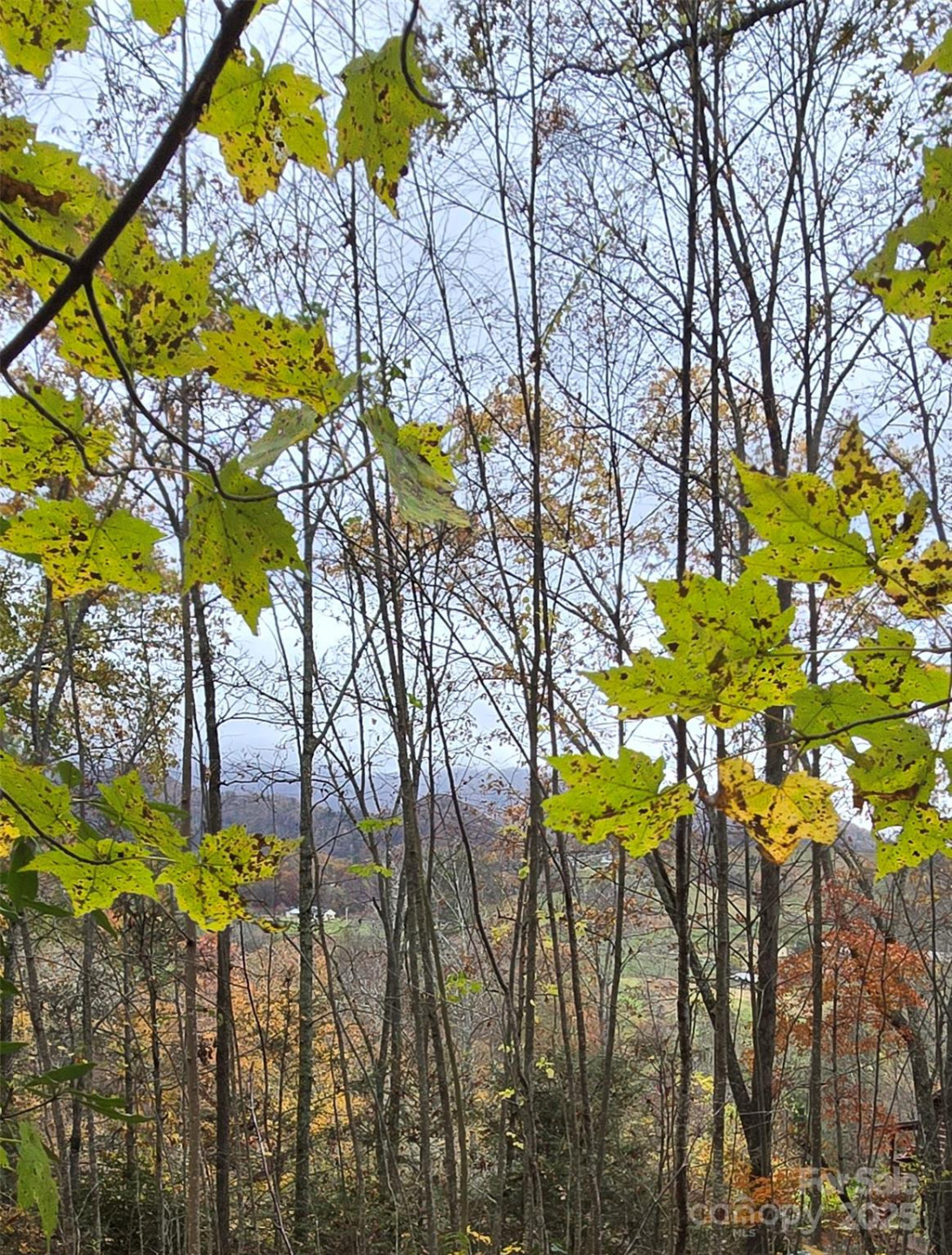 62 Turkey Hollow Court - Photo 19