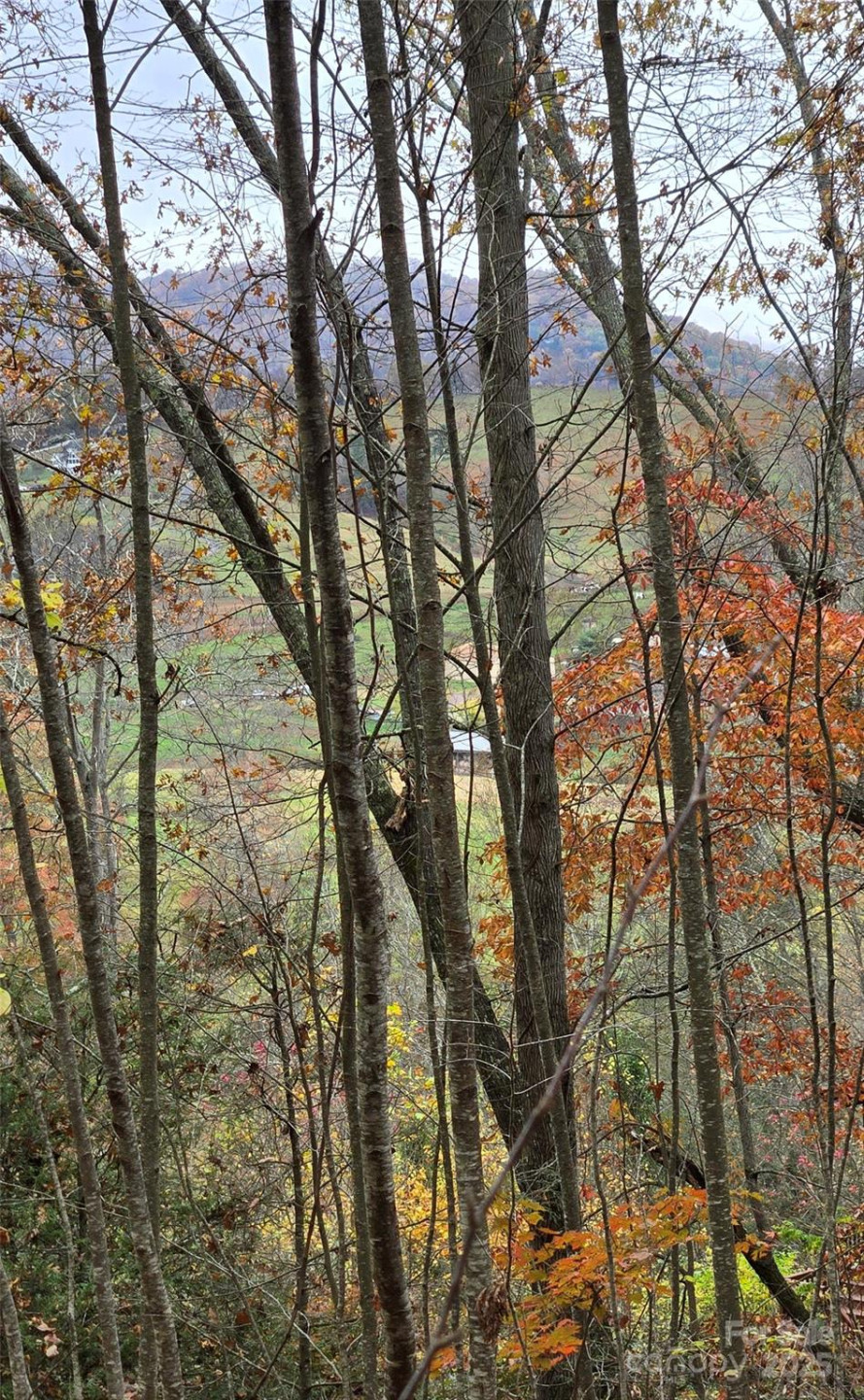 62 Turkey Hollow Court - Photo 20