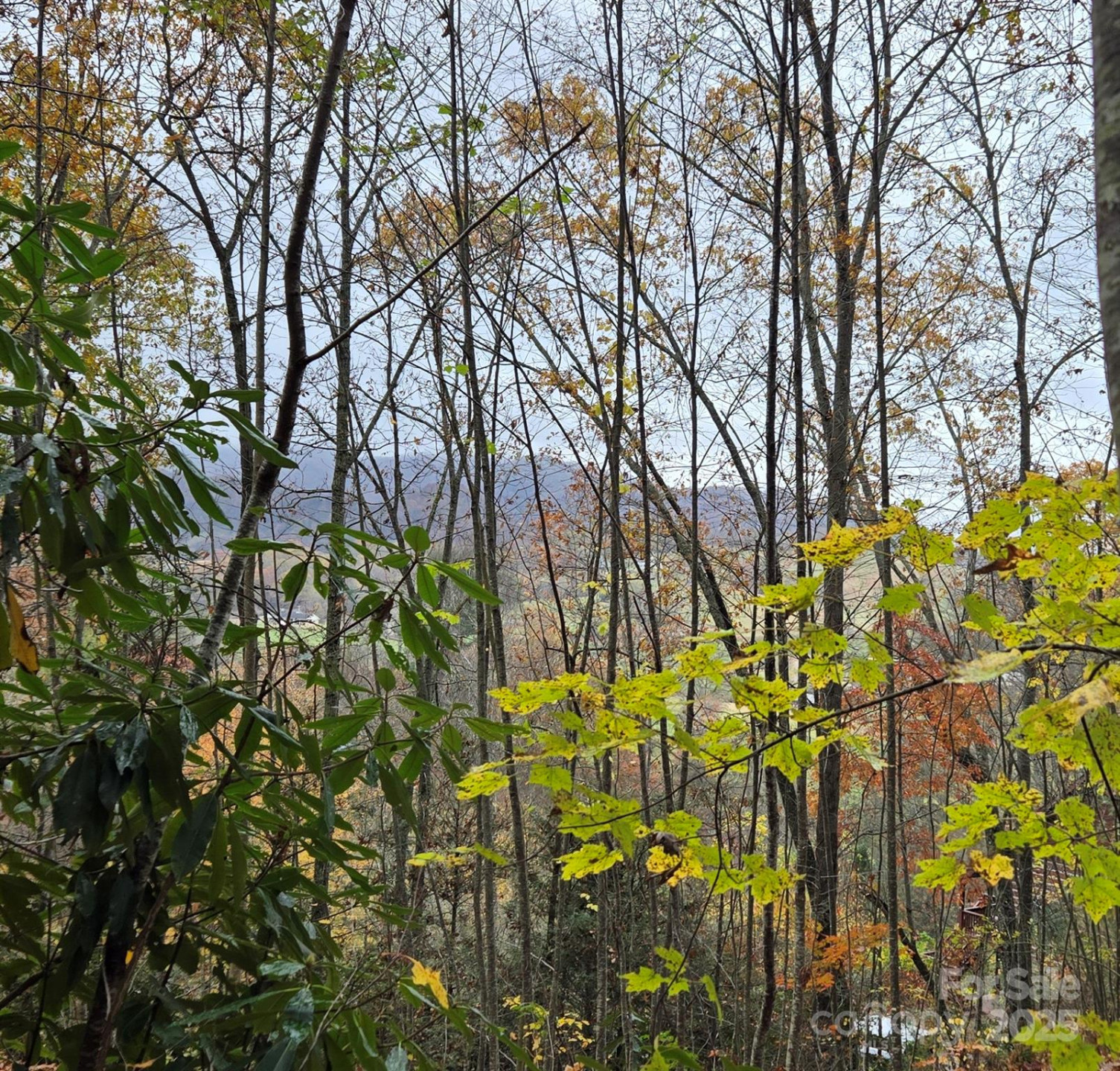 62 Turkey Hollow Court - Photo 21