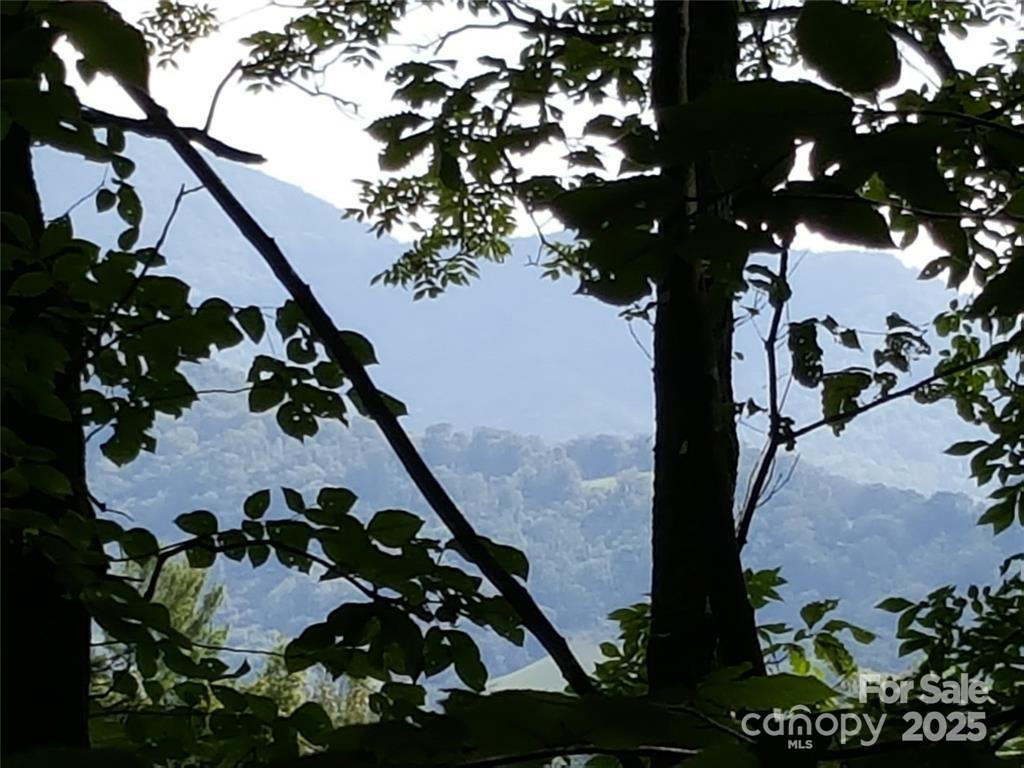 62 Turkey Hollow Court - Photo 23