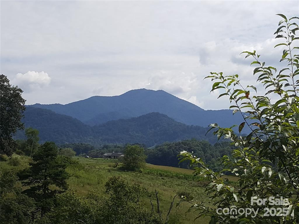 62 Turkey Hollow Court - Photo 4