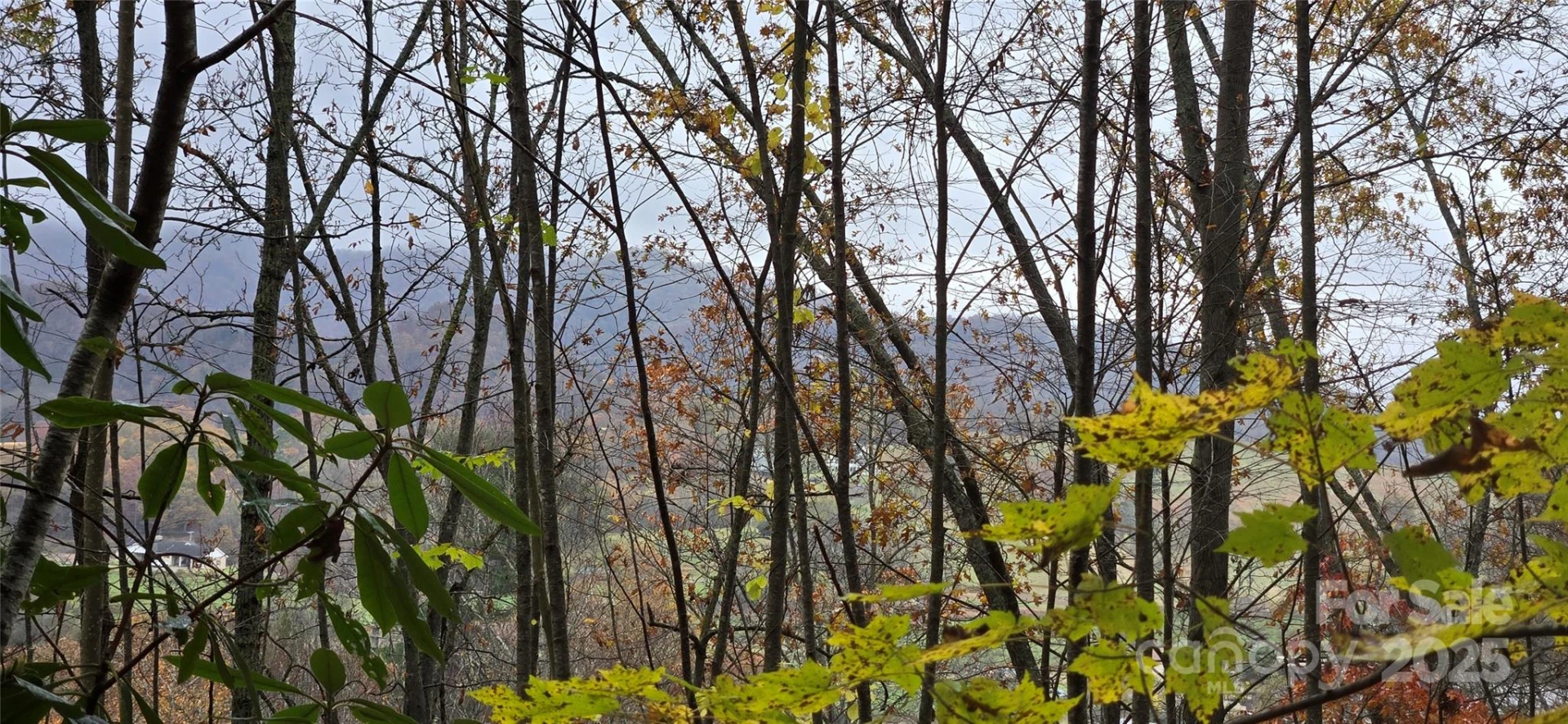 62 Turkey Hollow Court - Photo 5