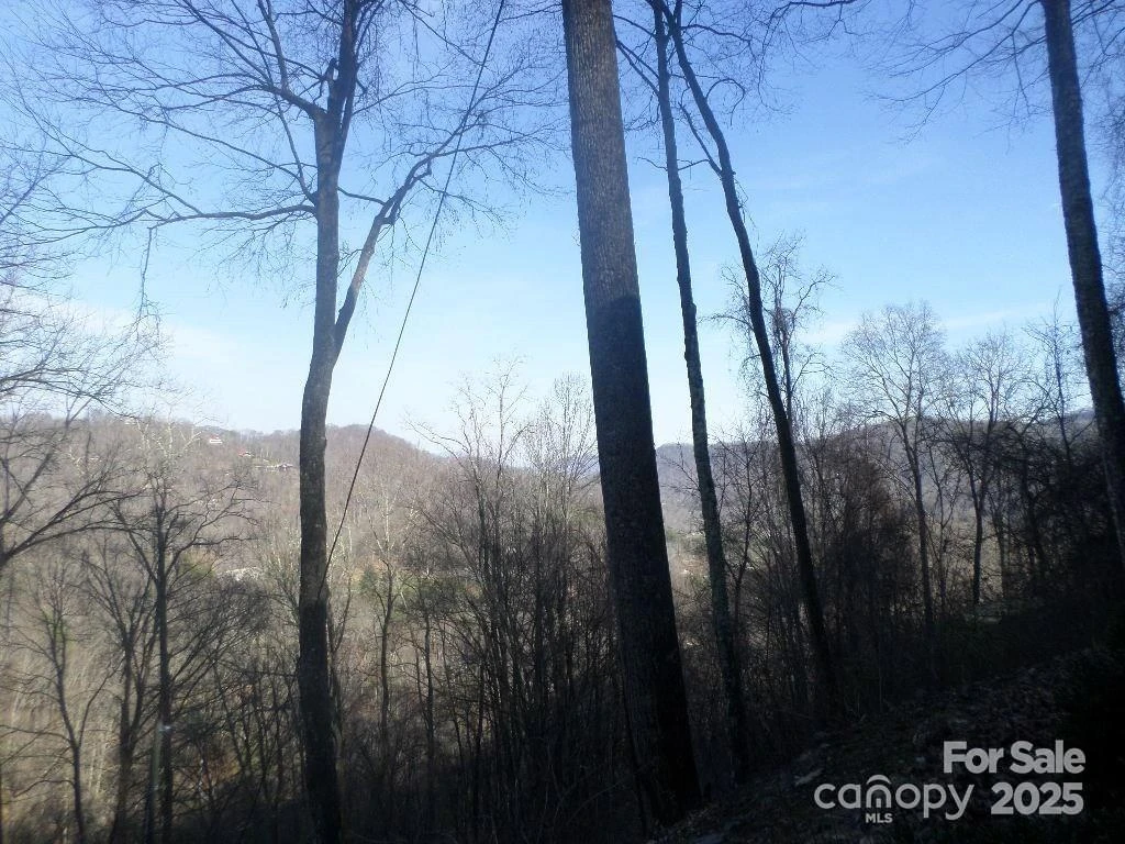 62 Turkey Hollow Court - Photo 6