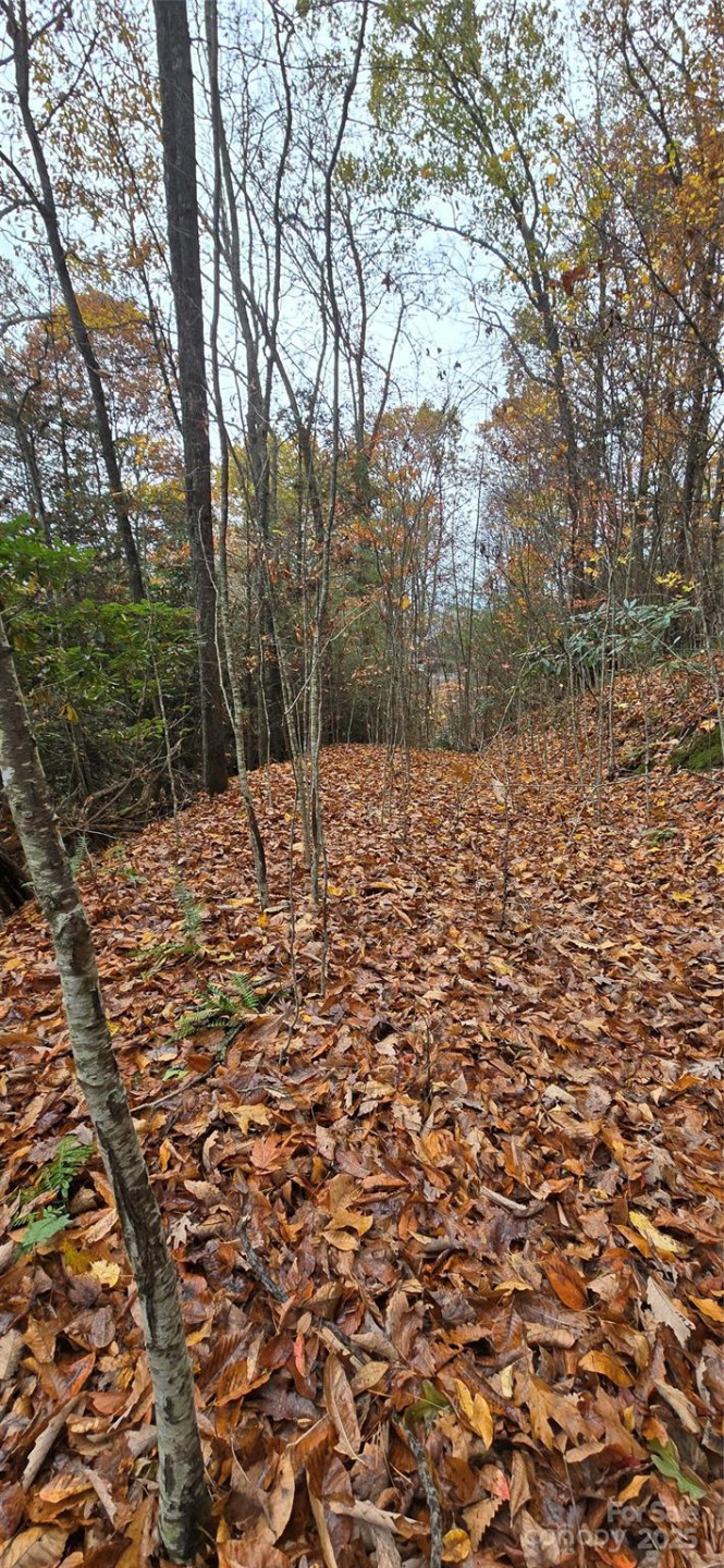 62 Turkey Hollow Court - Photo 7