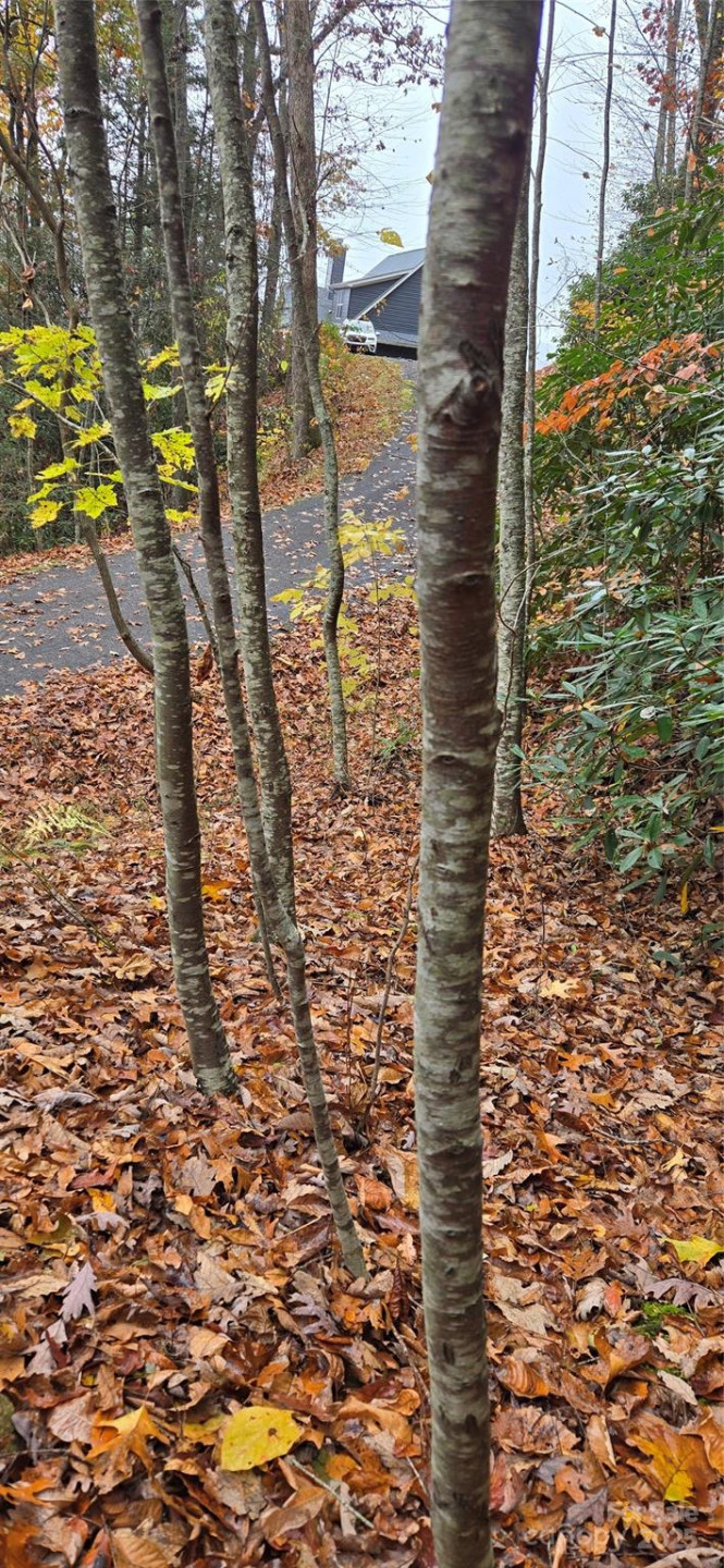 62 Turkey Hollow Court - Photo 8