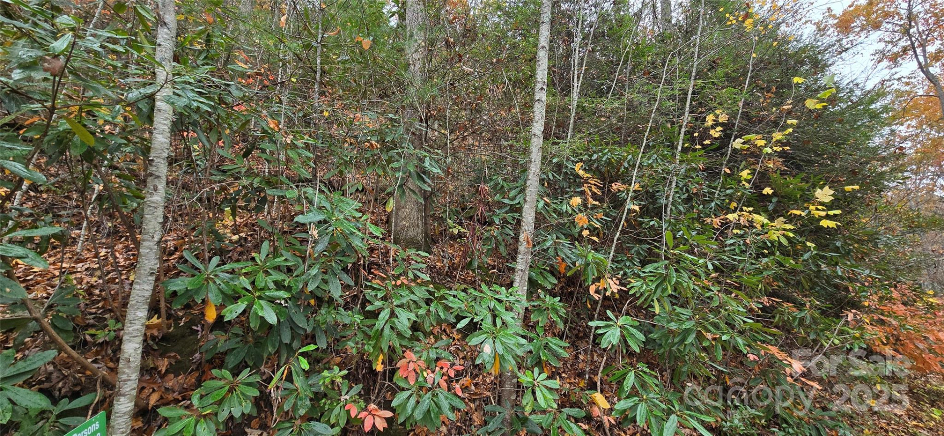 62 Turkey Hollow Court - Photo 9