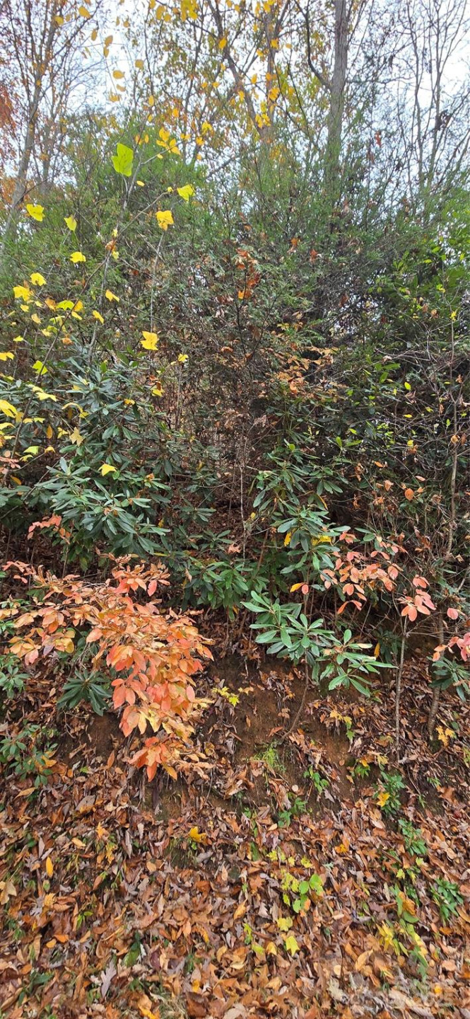 62 Turkey Hollow Court - Photo 10