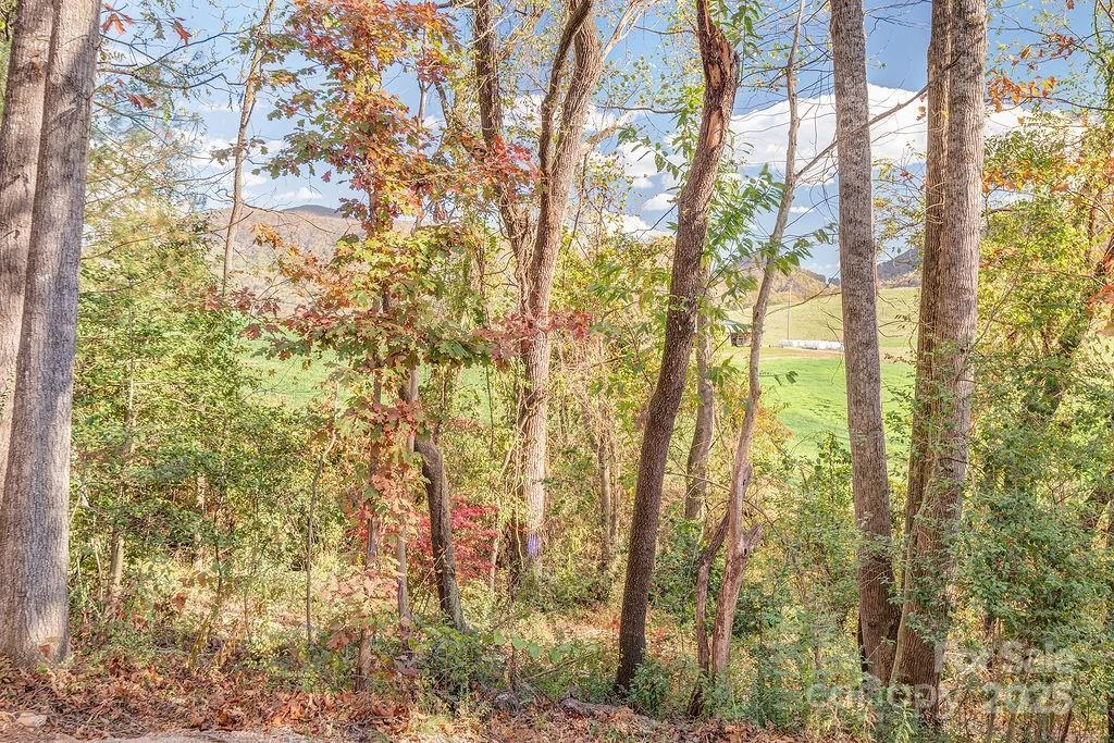 15 Edmond Woods Place - Photo 31
