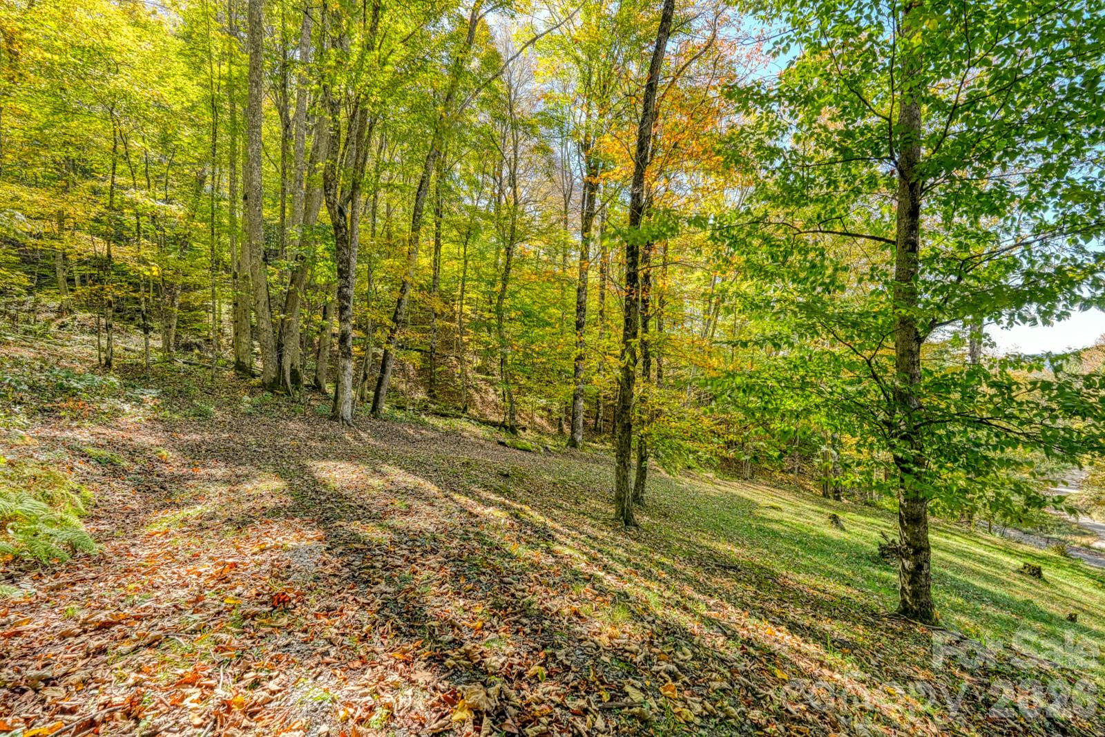 1495 El Miner Drive - Photo 41