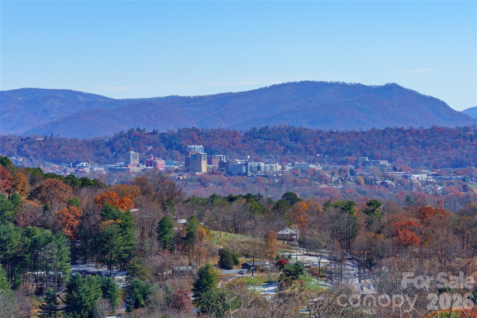 41 Ben Lippen School Road - Photo 3