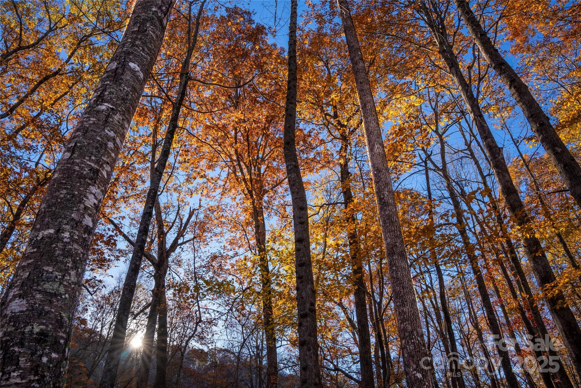 Lot 342 Severy Lane #342-A - Photo 2